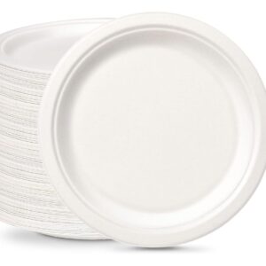 Plate 12 Inch Round 25pcs